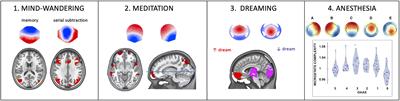 EEG Microstates in Altered States of Consciousness